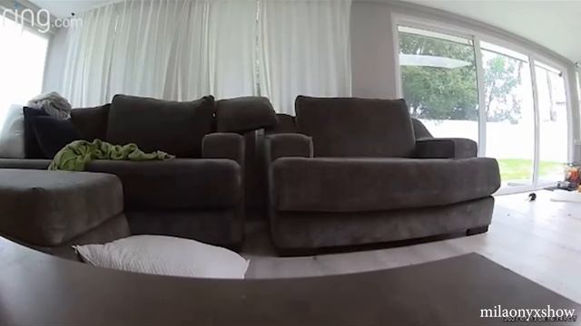 If It Fits, I Sits?Huskies being dramatic for 10 minutes смотреть онлайн