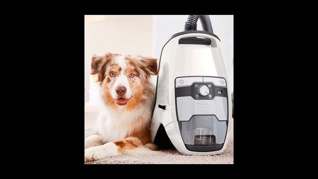 Пылесос с контейнером для пыли Miele купить в интернет-магазине Мвидео в Москве, Спб смотреть онлайн