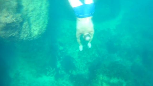 Крым,Ялта..пгт. Гаспра .Ласточкино гнездо-2018 Август