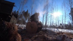 Газ 66. Заготовка дров. Огромное дерево отняло все силы.
