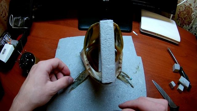 Делаем красивое чучело из головы щуки | Поэтапное изготовление смотреть онлайн