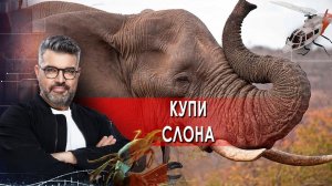 Купи слона. | Знаете ли вы, что? (30.10.2021).