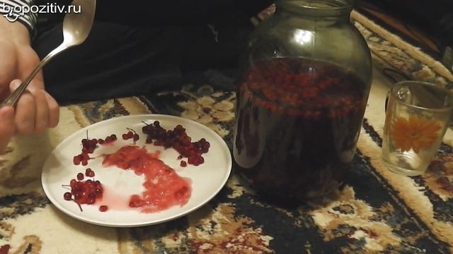 Калиновый гриб смотреть онлайн