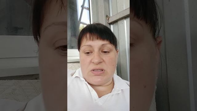 деревенский дневник очень многодетной мамы. мое мнение! смотреть онлайн