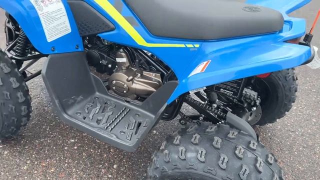 CF Moto Cforce 110 Walk Around Blue
