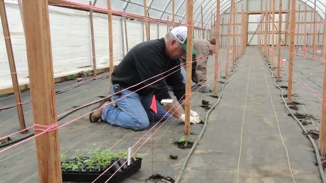 High Tunnels: Overview смотреть онлайн