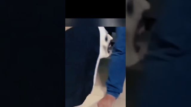 1000002246.mp4 смотреть онлайн