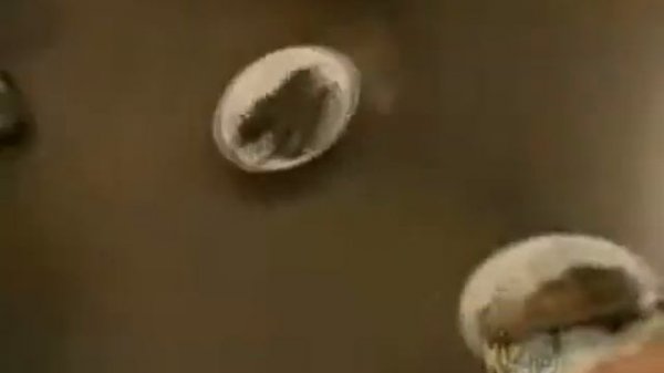 Sid the Science Kid Se1 - Ep5 Super Science Tools - Screen 04