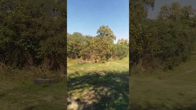 рыбалка в Анапе на территории осетрового хозяйства смотреть онлайн