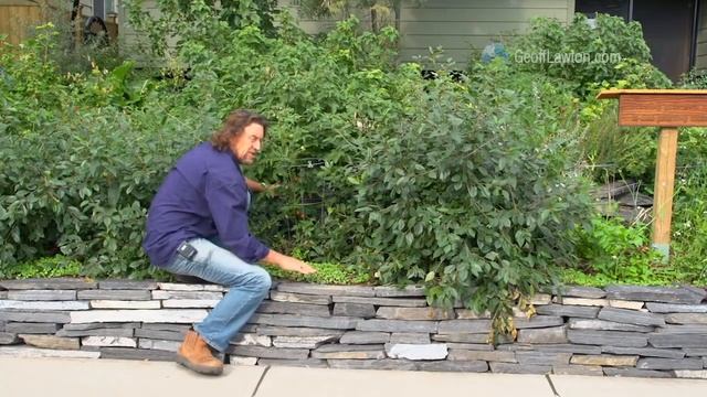 Джефф Лотон "Пермакультура в городе" смотреть онлайн