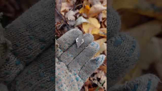 Каждой твари по паре или Как я наводил порядок в парке! #проба800#значкиспауком#jugendstyle смотреть онлайн
