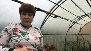 Что я буду сажать в июне . В открытый грунт семенами