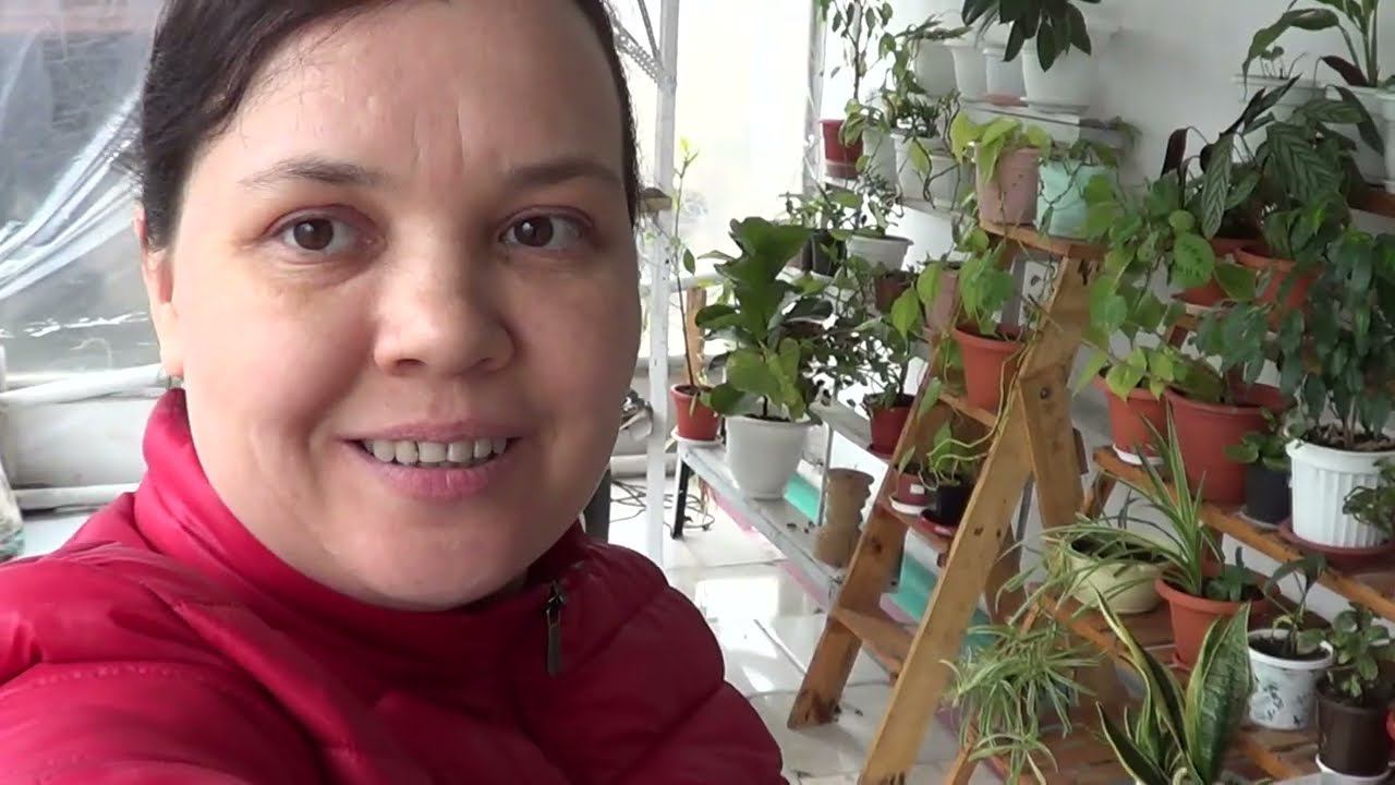 МОЯ МЕЧТА НЕ СБЫЛАСЬ / ВОТ ТАКОЕ ВОСЬМОЕ МАРТА смотреть онлайн