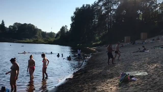 ПТИЦА В ШОКЕ_ДАЧНЫЕ БУДНИ_ГДЕ ПОЕСТЬ НА ПОБЕРЕЖЬЕ ФИНСКОГО ЗАЛИВА смотреть онлайн