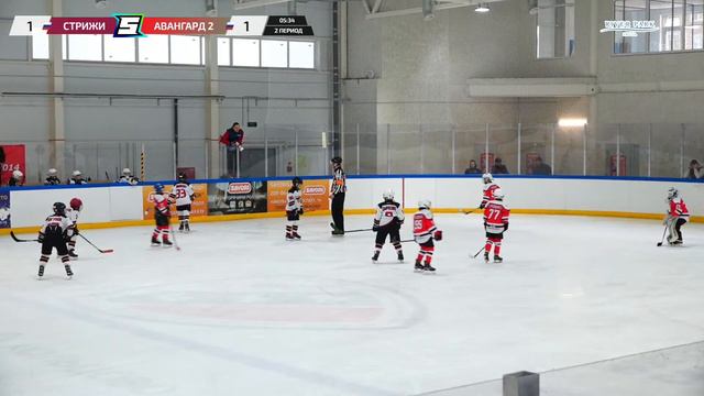 Матч №15 • Стрижи — Авангард-2 • 2014-U10 • Арена ЛДС Кольцово • 21 мая 2023 в 11:30 смотреть онлайн