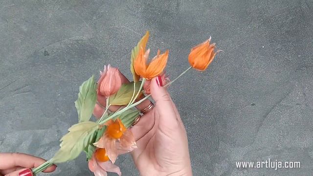 Презентация мастер-класса "Физализ" смотреть онлайн