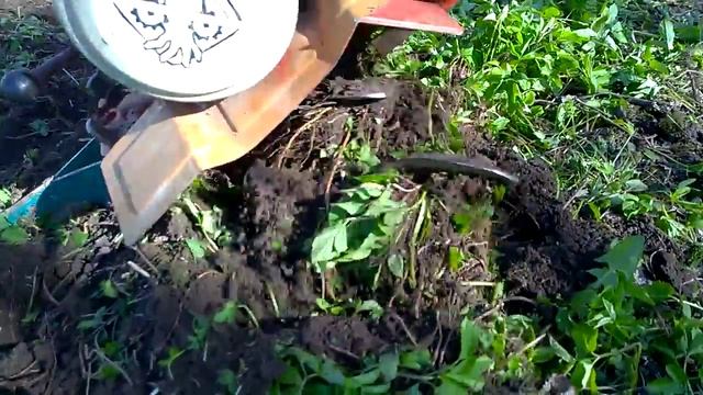 Зверь-машина. Мотоблок Салют-5БС-6,5 смотреть онлайн