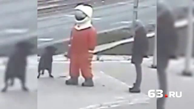 Кто напал на «космопупса»? смотреть онлайн