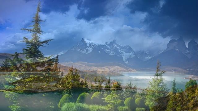 HOURS of Relaxing Music for Dogs! Help Your Dog Sleep! смотреть онлайн