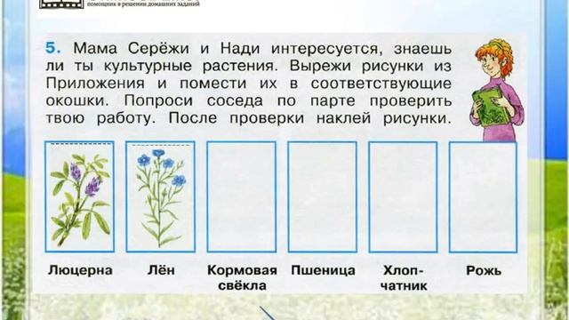 Задание 5 Растениеводство - Окружающий мир 3 класс (Плешаков А.А.) 2 часть смотреть онлайн