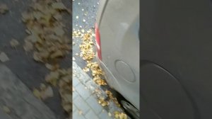 Выезд из параллельной парковки. Спереди и сзади менее метра. Бордюр вплотную.