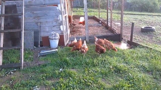 Утро следующего дня//однообразная работа:снимать или не снимать//очень короткий монолог смотреть онлайн