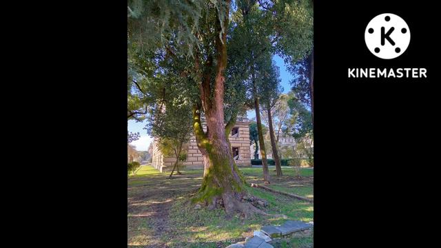 До свидания Абхазия! День отъезда. 8 января 2022 смотреть онлайн