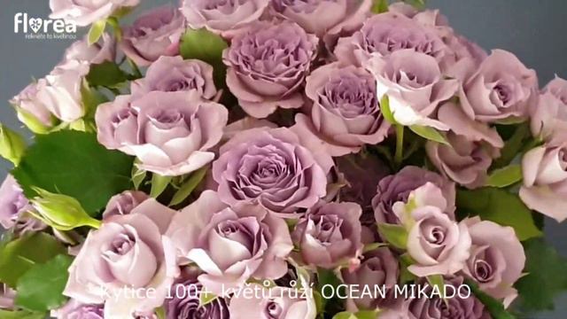 Kytice 100+ Květů Růží OCEAN MIKADO - Florea.cz