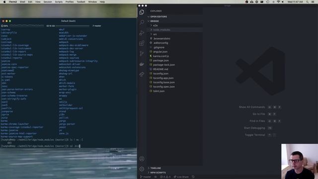 WEB422 Week 06 Part 1: Intro to Angular смотреть онлайн