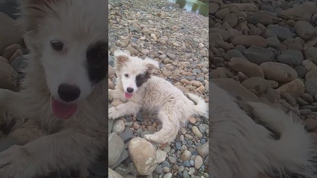 Курганинск (река Лаба) смотреть онлайн