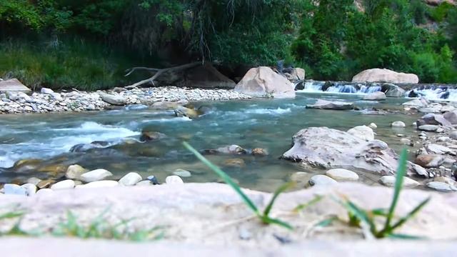 Трансформация в Потоке смотреть онлайн