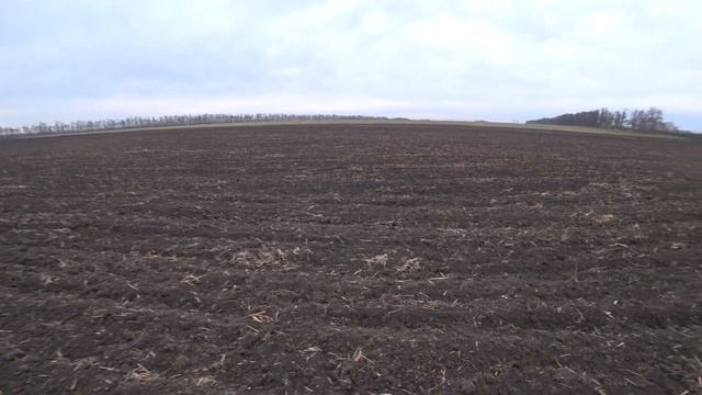 ОХОТА НА ЗАЙЦА 2021-2022 : ПОПУТНО ИЩЕМ МЕСТО ДЛЯ ОХОТЫ НА ПЕРЕЛЕТНУЮ УТКУ смотреть онлайн