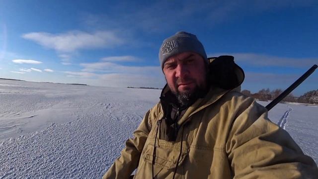 #охота #охотаназайца #сунар КРАСИВАЯ , ОХОТА , РАЗГОВОРЫ НА РАДОСТЯХ ОБ ОХОТЕ смотреть онлайн