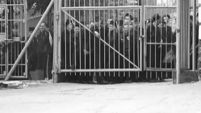 Дмитрий Воронежский - Здравствуй 2011 г. смотреть онлайн