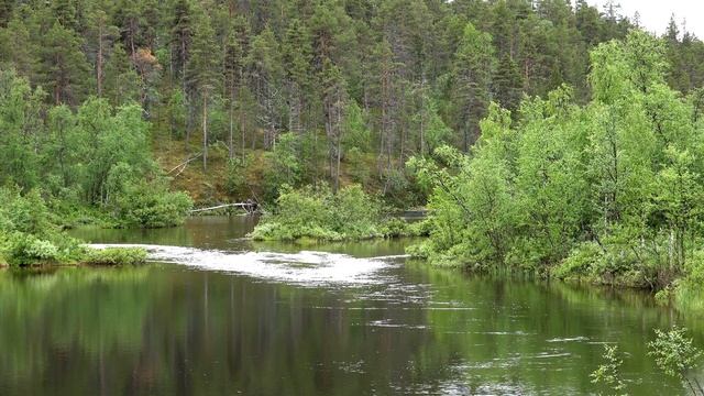 Lemmenjoki National Park. Finnish Lapland wilderness смотреть онлайн