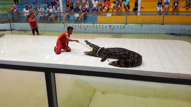 Пхукет крокодиловая ферма 3 смотреть онлайн