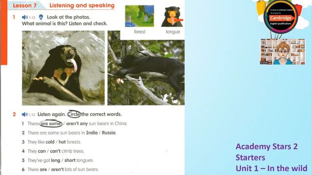 Academy Stars 2 - Starters _ Unit 1 - In The Wild _ Lesson 7 - Listening And Speaking!