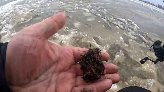 Зимний фидер любит течение, отчёт № 292 смотреть онлайн