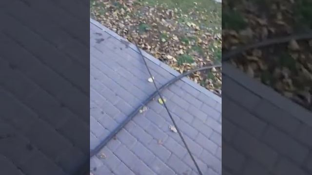 Работа аппарат высокого давления с грязевой фрезой Alliance 500 бар / 21 литр/мин смотреть онлайн