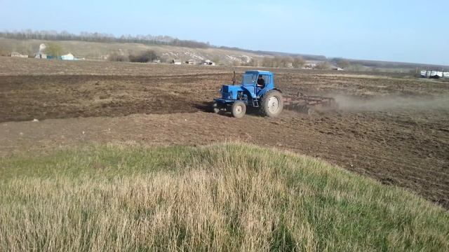 Цуккини кабачки Белгород короча смотреть онлайн