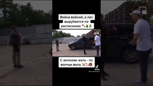 #борьба с #преступление в сфере #экология и #рубка #леса ‼️ смотреть онлайн