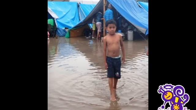 Zambo Kids смотреть онлайн