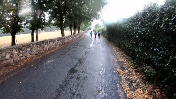 Camino de Santiago Sarria to Santiago Full Journey 4K Video