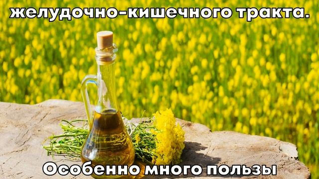 Рапсовое масло: Полезные свойства и состав смотреть онлайн