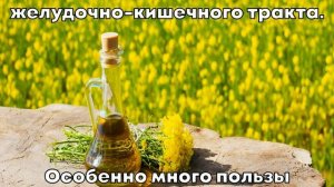 Рапсовое масло: Полезные свойства и состав