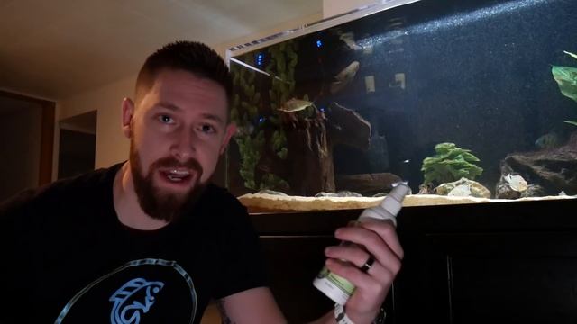 South American Cichlid Tank | 180 Gallon Aquarium Updates смотреть онлайн