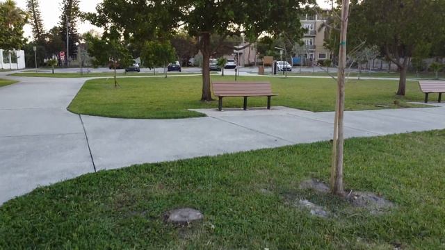 DJI Mavic Mini Drone at Lyman Kayak Park in Lantana Florida смотреть онлайн