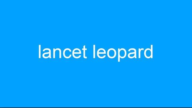 Top 5 Leopard смотреть онлайн