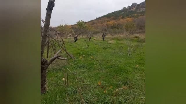 3 Часть Армия вступмла в зону отщуждения (эвукация) смотреть онлайн