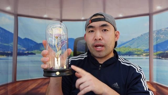 Should You Buy? LED Glass Rose Galaxy Flower смотреть онлайн